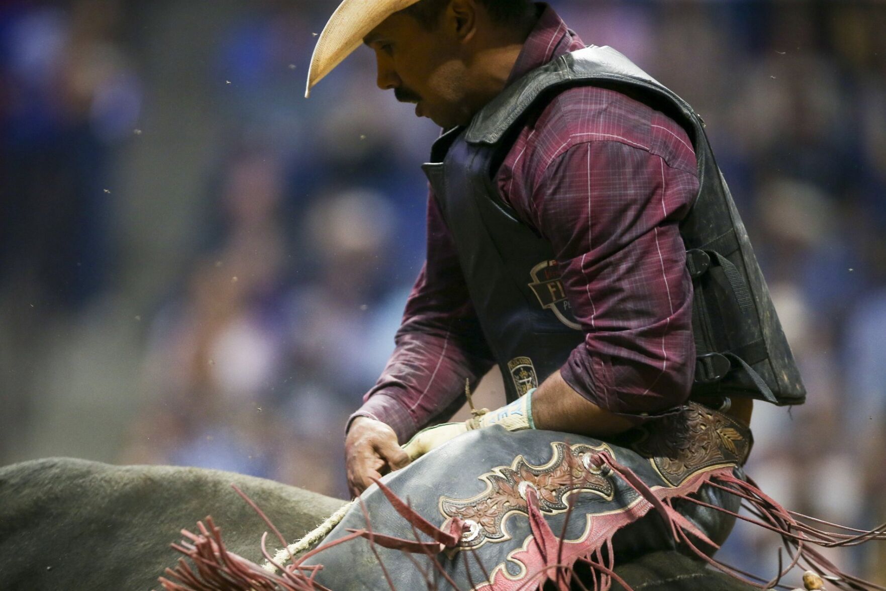 PBR Unleash The Beast